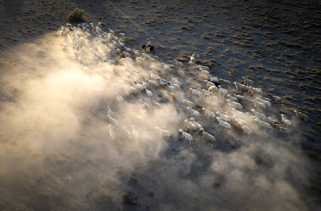 Konyalı besiciler kuraklığa çözüm buldu! Verim düşmeyecek 1